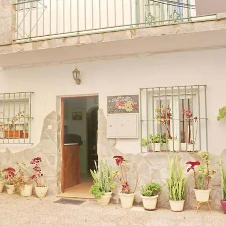 El Rinconcito De Pepa Ii